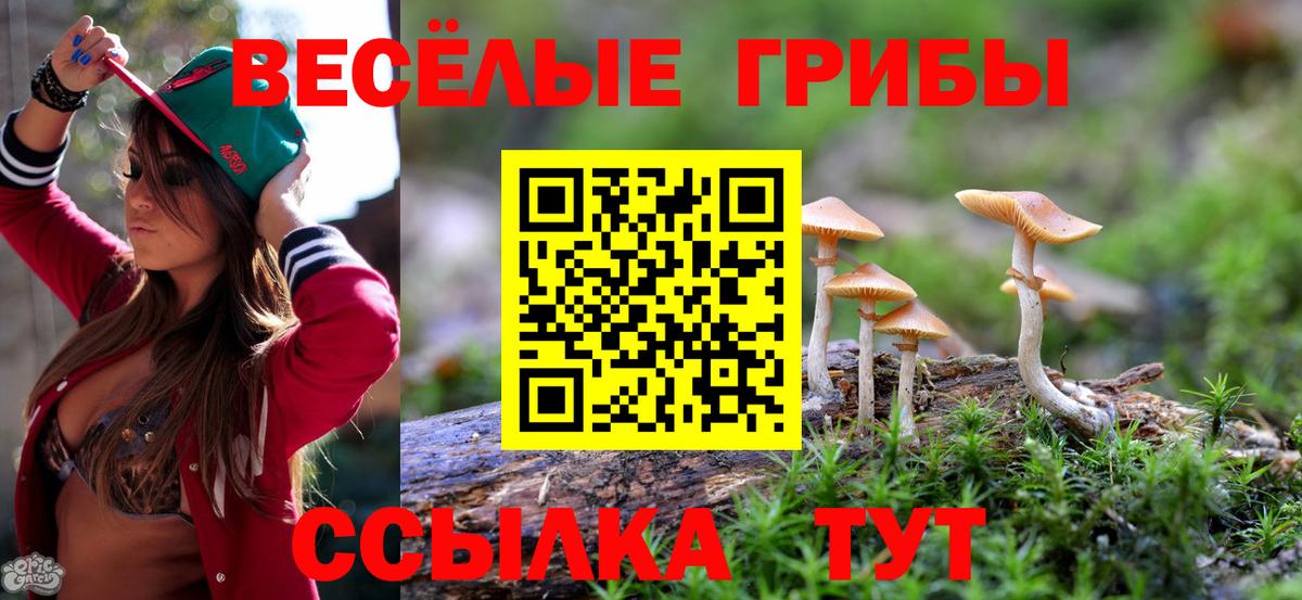 Галлюциногенные грибы GOLDEN TEACHER Ярославль